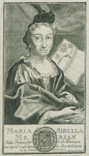Maria Sibylla Merian