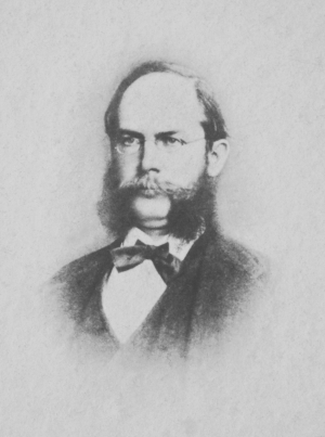 Harald Schütz (um 1875)